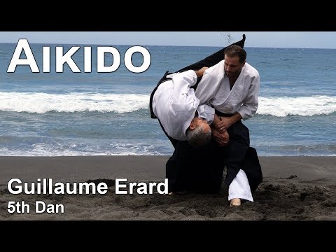 Guillaume Erard 5th Dan Aikido - Reunion Island Highlights