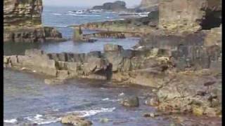 Peggy Sweeney - Songs of Sean McCarthy