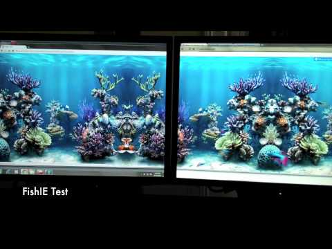 Shared GPU accelerated VMware View virtual desktop