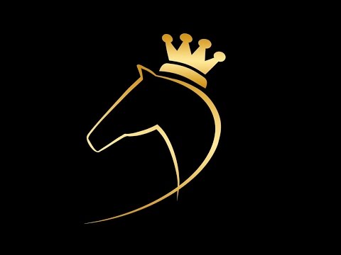 "Die Goldenen Reiter" NDW akustisch!