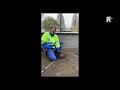 Bekijk hier hoe de oehoe na twee dagen  werd gevangen door een medewerker van de dierenambulance