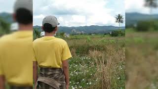 Download lagu Anji-Menunggumu( music Pic) mp3