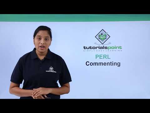 Perl - Commenting