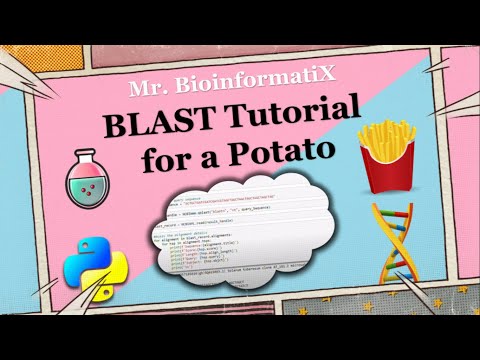 BLAST Tutorial for a Potato 🍟| Biopython Tutorial | Mr. BioinformatiX