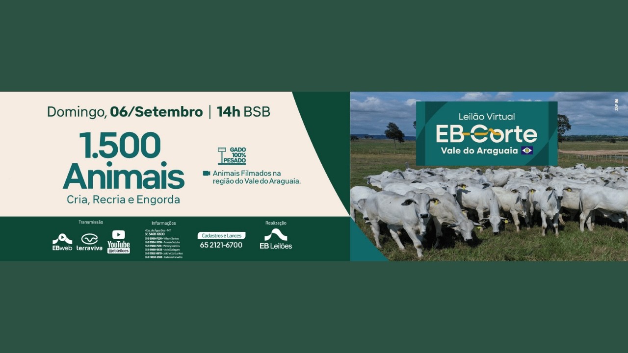 LEILÃO VIRTUAL EB CORTE VALE DO ARAGUAIA | 06/09/2026 – 14H
