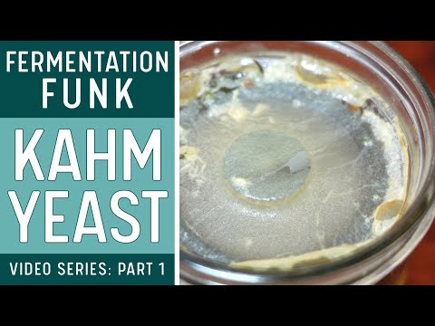 KAHM YEAST on FERMENTED VEGETABLES (How to identify & what to do about it)