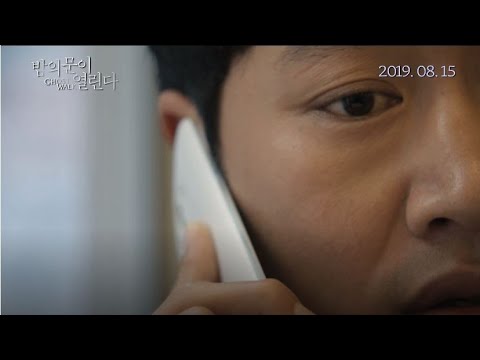 비디오 5