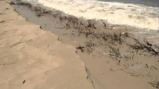 preview picture of video 'Erosion de la langue de Barbarie - Sénégal 2012'