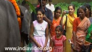 Children near baby elephant at Vadakkumnathan temple, Thrissur