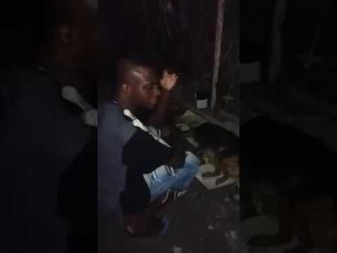 Mc doguin no funk do cachorrinho do além