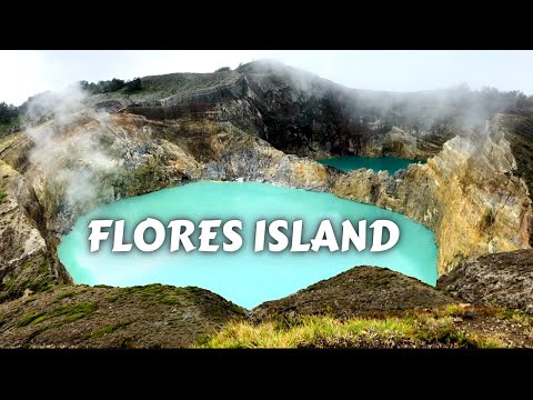 FLORES by motorbike / Wae Rebo, volcano Kelimutu, Bajawa, Ruteng, hobbit cave/ Indonesia Travel Vlog