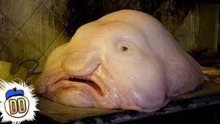 15 Scary Deep Sea Creatures