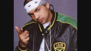 Felli fel feel it(Flo-rida,Sean Paul,Pit Bull)