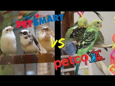 YouTube video about: Does petsmart clip bird wings?