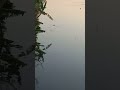 channel
