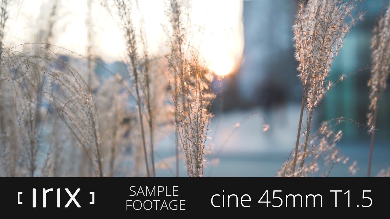 Video thumbnail for Video Review 3