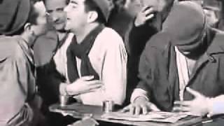 Stalag 17 (1953) Video