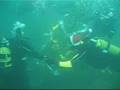 Christmas under water, One Ocean Dive Resort, Kristiansand, Norwegen
