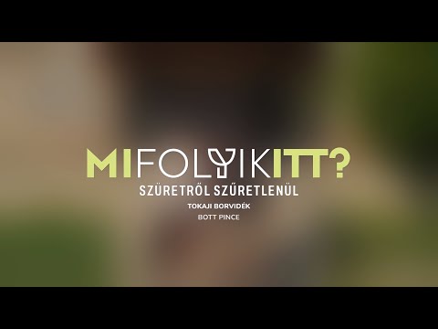 Mi folyik itt? III. epizód: Tokaji borvidék