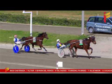 I Corsa del 11 marzo 2023 - 5 Anni ed oltre Cat. F - Metri 1600