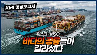 해운 얼라이언스 재편에 따른 영향분석과 대응방안 연구