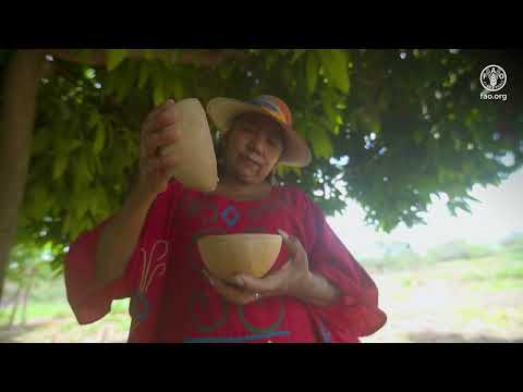 Transforming Food Systems: The GEF-8 FSIP