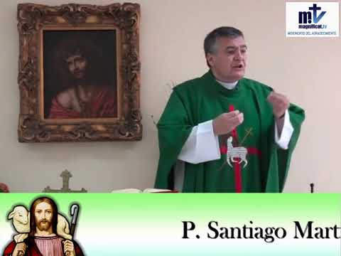 Homilía. XVIII Domingo T.O. 05/08/18. P. Santiago Martín, FM