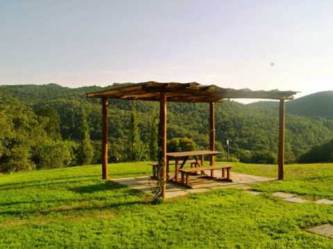 Biancospino Ginepro - Anghiari - Italy