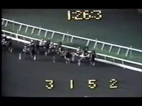 1986 Meadowlands JEFS SPICE Hambletonian Oaks Final Mickey McNichol