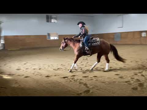 Spook Royale Reining