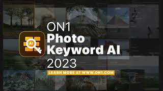 Discover How to Use AI to Organize Your Photos