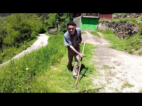 "Nek će meni i 80 godina, ja se ne bojim teških poslova!"