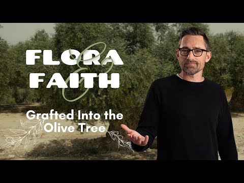 Grafted Into the Olive Tree | Flora & Faith Pt 4 | EP178