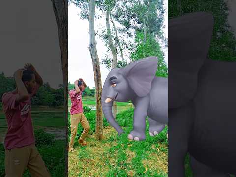 Hatti and all animals video #hati #animals