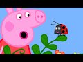 Peppa Finds A Ladybug! 🐞 | Peppa Pig Official Full Episodes