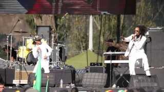 Jamming festival 2013 / Nyabinghi sound system