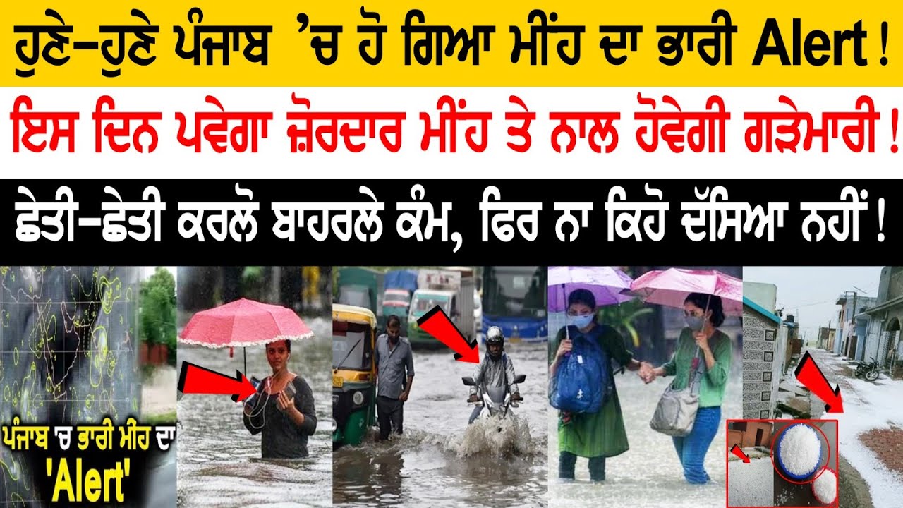 Heavy Rain Alert Issued in Punjab! Hailstorm predicted for this day in the state! Heavy Rain Alert Issued in Punjab! Hailstorm predicted for this day in the state!