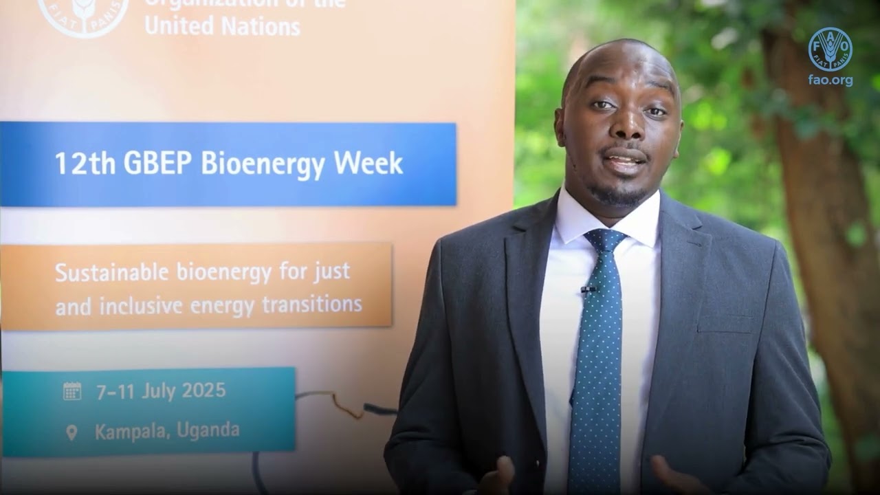 Celebrating 20 years of Global Bioenergy Partnership