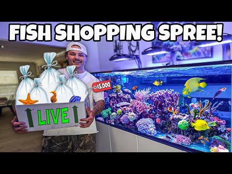 FISH SHOPPING SPREE for My 300G Saltwater REEF TANK!! (ft. Dereck Lively)