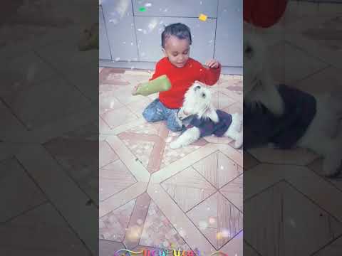 happy new year 2023 #achyut #wishes #happynewyear #trending