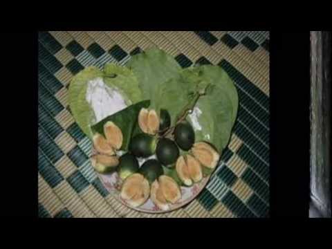 Ca dao tự tình Sheet - Tuấn Kiệt