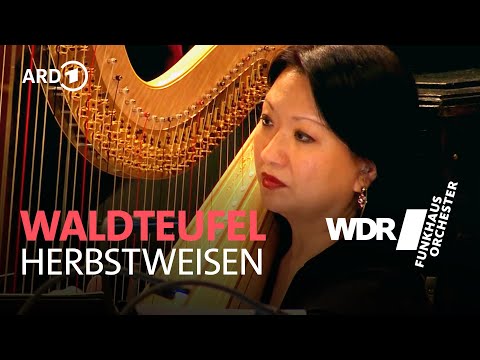 Waldteufel - Herbstweisen | David Brophy | WDR Funkhausorchester