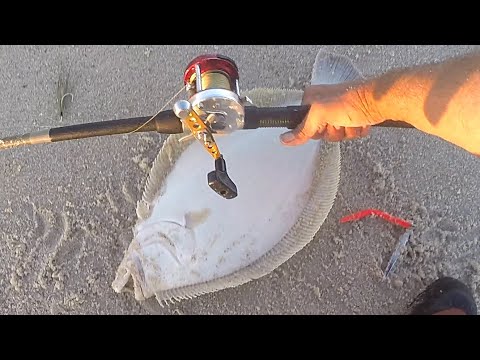WORLD CLASS Surf Fishing - FLUKE * STRIPED BASS * BLUEFISH - Limits & Keepers