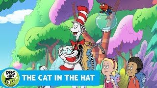 The Cat in the Hat Knows a Lot About Camping! (2016)
