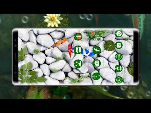 3D Live Koi Fish Pond Theme With Animation Video