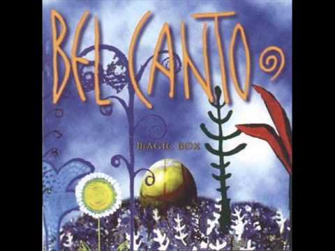 Big belly butterflies cover