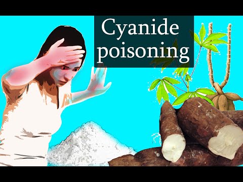 Cyanide Poisoning - Animation. cyanide poisoning  mechanism of action