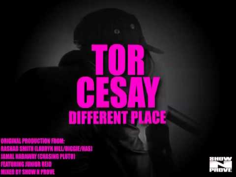 Tor Cesay- ft Junior Reid  'Serious' (Free download)