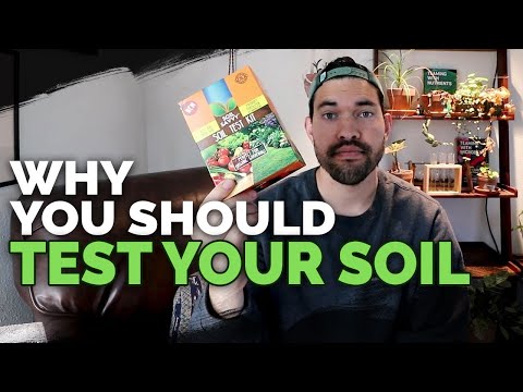 Biofertilizers Experiment Testing Earth Alive Soil Activator Part 1