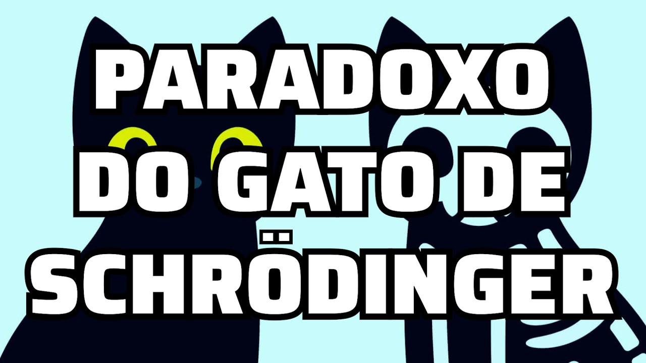 O famoso paradoxo do gato morto-vivo